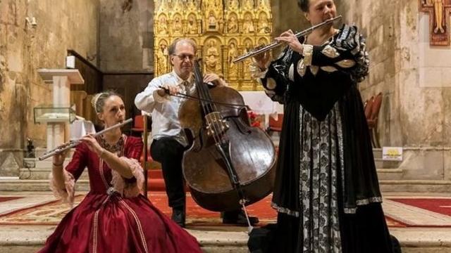 Musical Lessons - a series of educational concerts