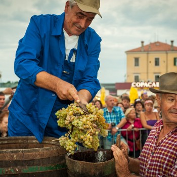 Običaji in tradicija