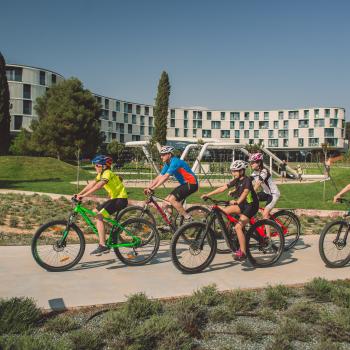 Vacation for the whole family