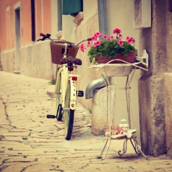 Rovinj in spring