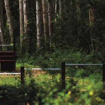 Exercise station in the Golden Cape Forest Park 