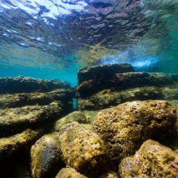 Snorkeling location and underwater map