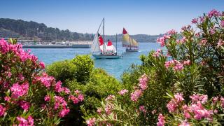 Tourist turnover in the first half of 2019
