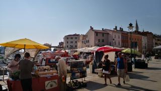 Celebrata la festa di s. Eufemia   