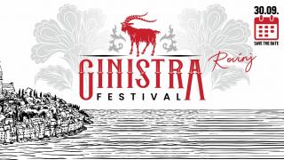 1. GinIstra festival