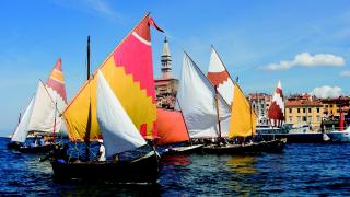 Rovinjska regata tradicijskih barki s oglavnim i latinskim jedrom
