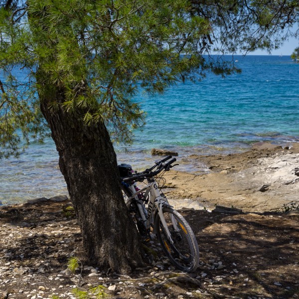 Šport in aktivne počitnice