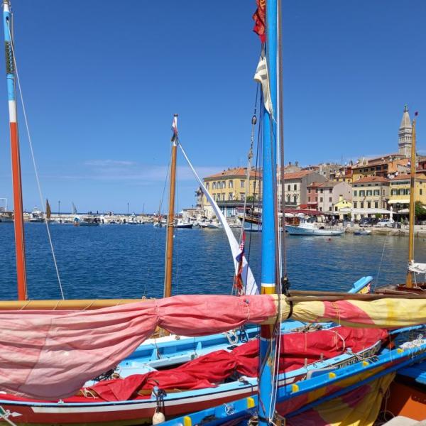 16. Rovinjer Regatta traditioneller Segelboote mit Lateinersegel und Luggersegel 
